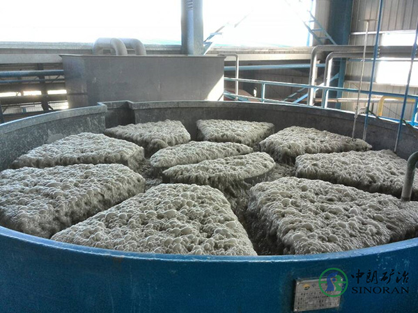 Flotation Column Cell